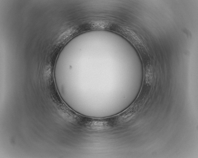 X0000115550314200911201806