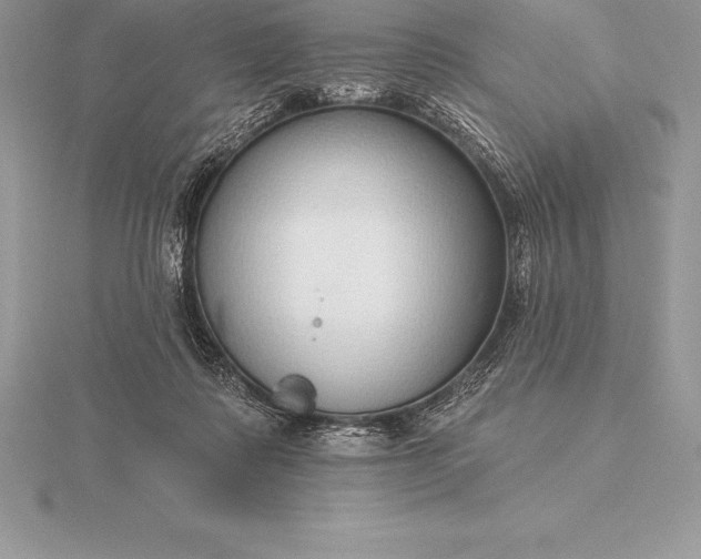 X0000115550315200911201806