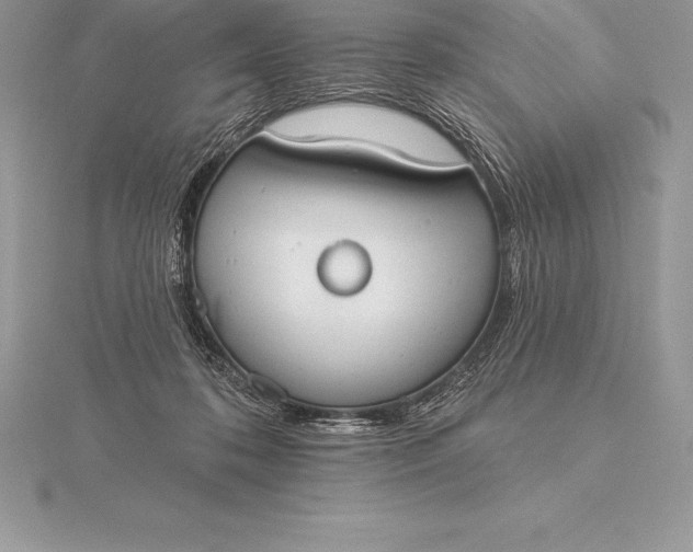 X0000115550316200911201806