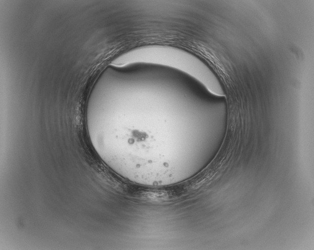 X0000115550317200911201806