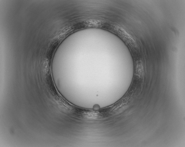 X0000115550318200911201806