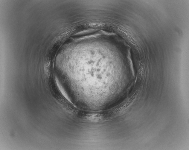 X0000115550319200911201806