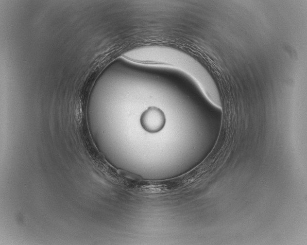 X0000115550320200911201806