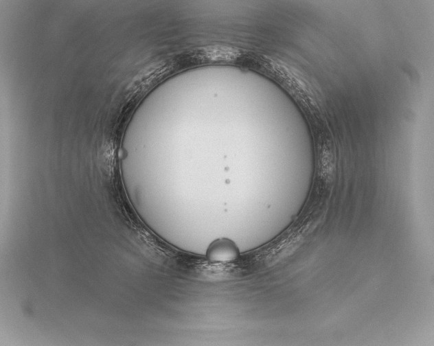 X0000115550321200911201806