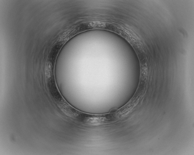 X0000115550323200911201806