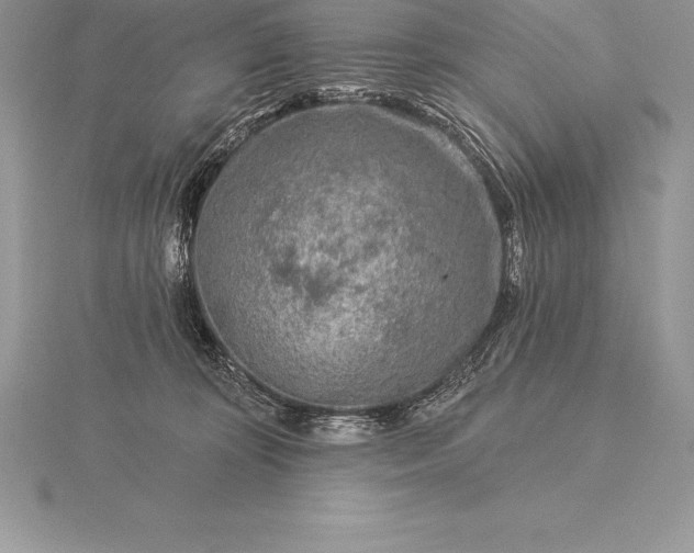 X0000115550324200911201806