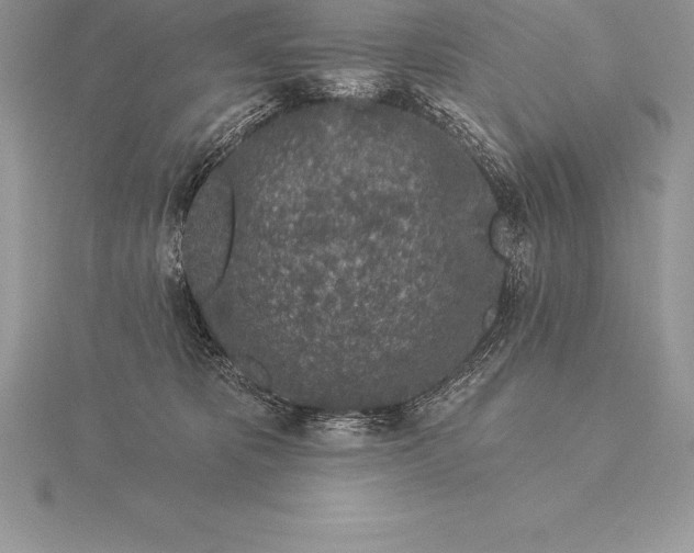 X0000115550325200911201806