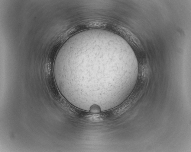 X0000115550326200911201806