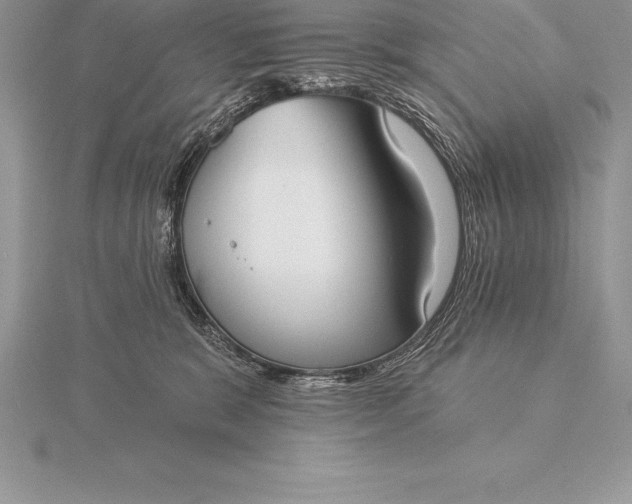 X0000115550327200911201806