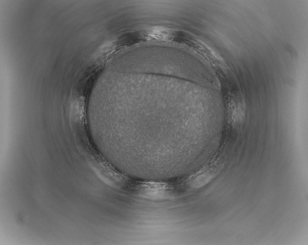 X0000115550328200911201806