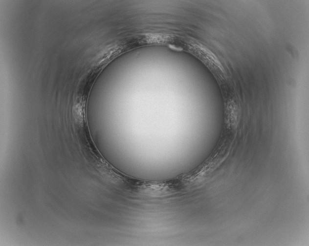 X0000115550329200911201806