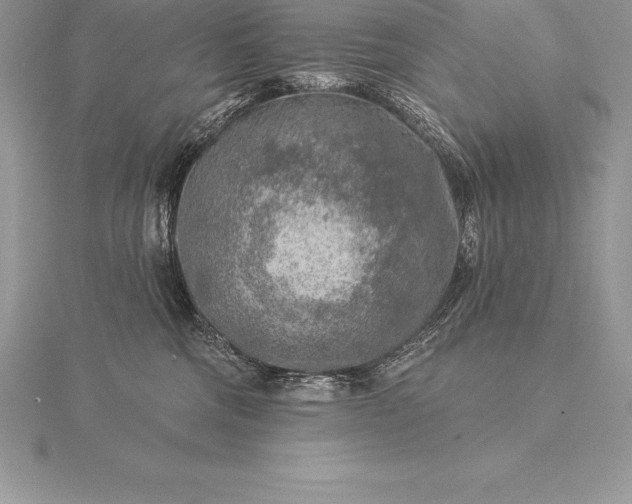 X0000115550330200911201806