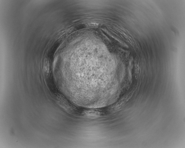 X0000115550331200911201806