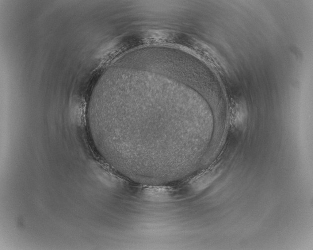 X0000115550332200911201806