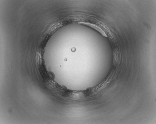 X0000115550333200911201806