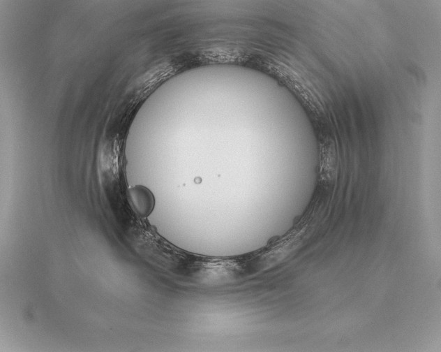 X0000115550334200911201806