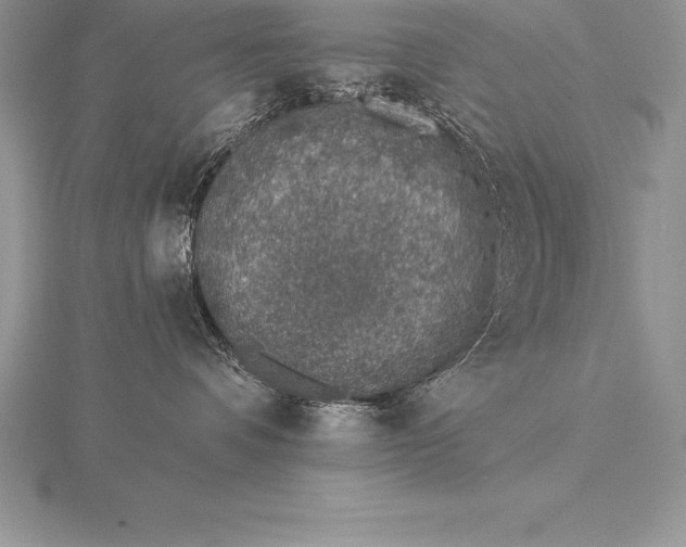 X0000115550336200911201806