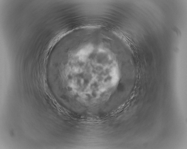 X0000115550337200911201805