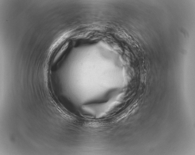 X0000115550341200911201805