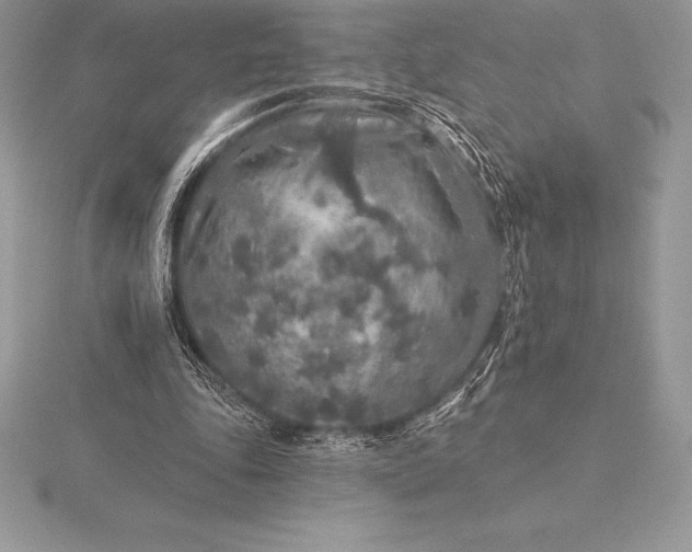 X0000115550343200911201805