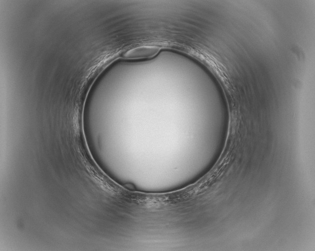 X0000115550345200911201805