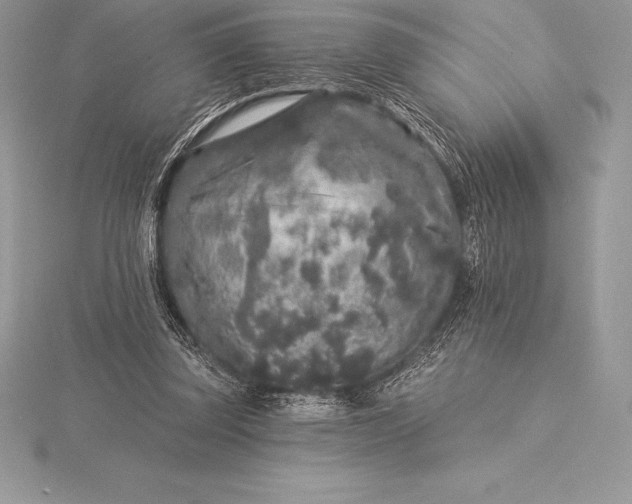 X0000115550347200911201805