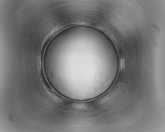 X0000115550349200911201805