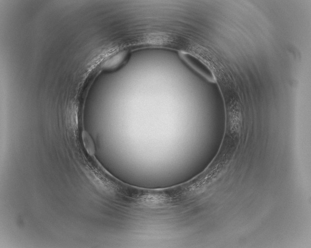 X0000115550350200911201805