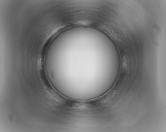 X0000115550351200911201805