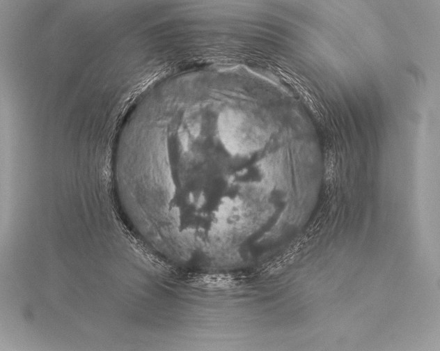 X0000115550353200911201805