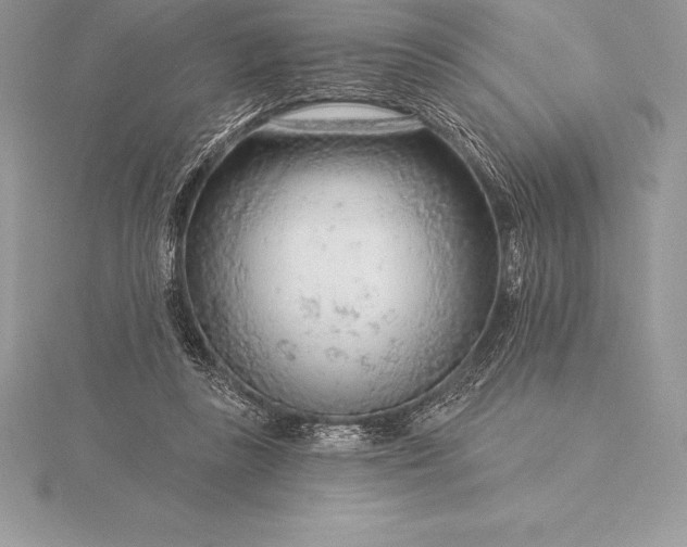 X0000115550355200911201805