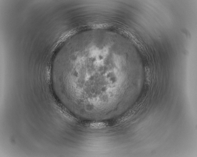 X0000115550357200911201805