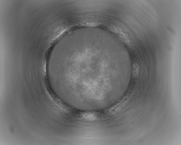 X0000115550358200911201805