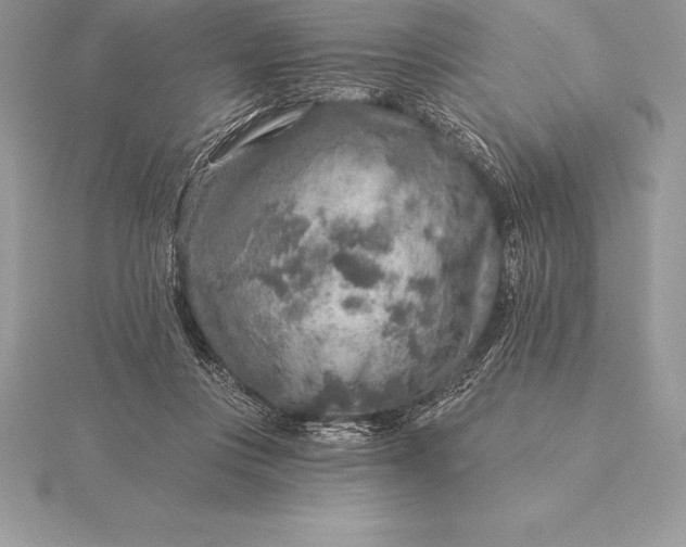 X0000115550359200911201805