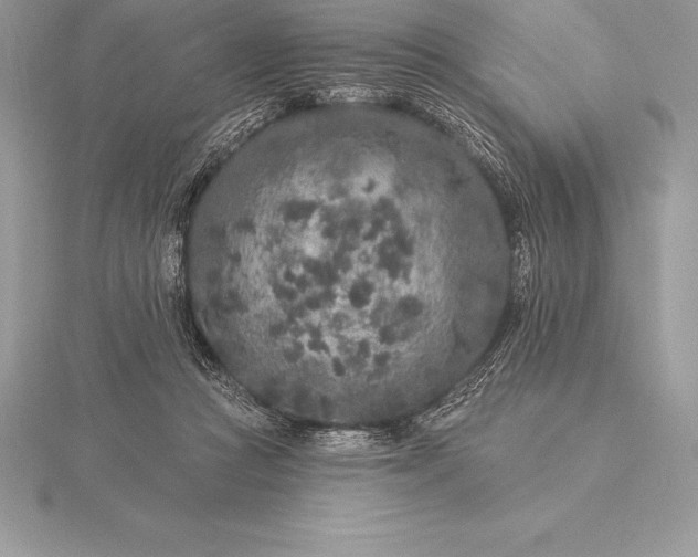 X0000115550361200911201805