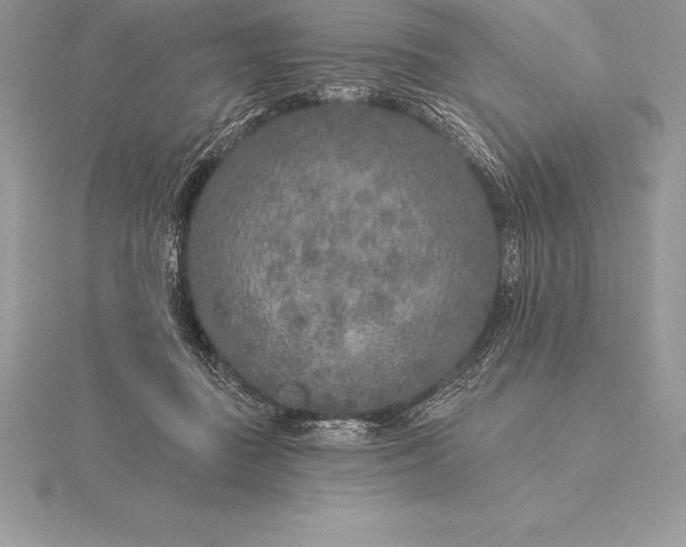 X0000115550363200911201806