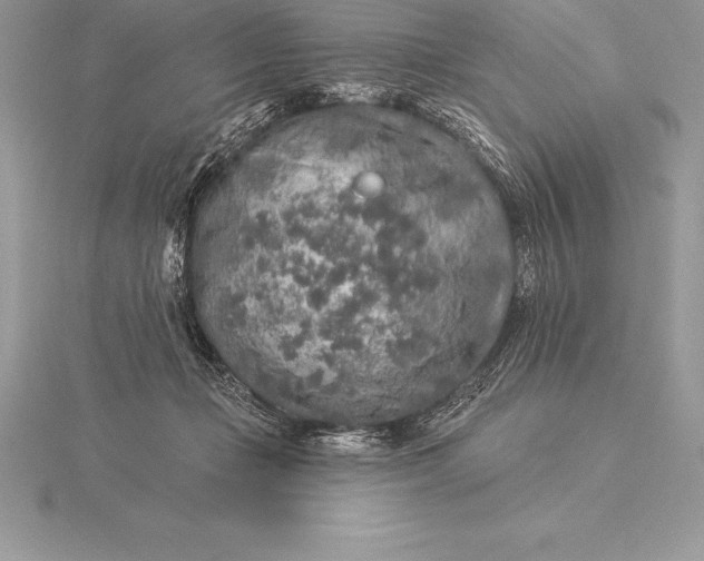 X0000115550365200911201806