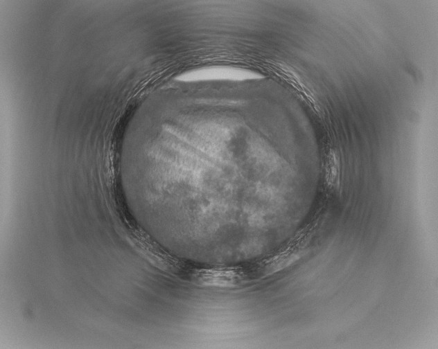 X0000115550366200911201806