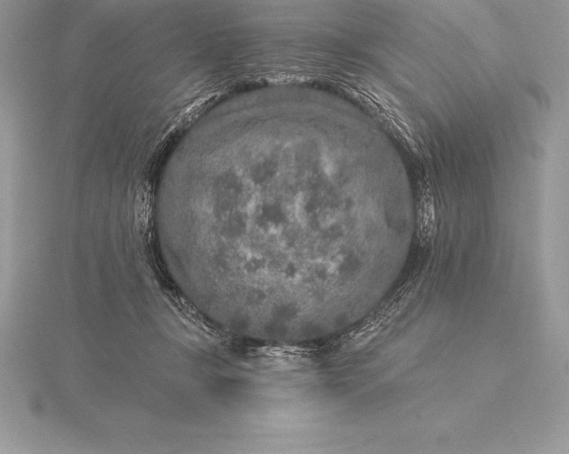 X0000115550367200911201806