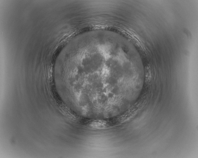 X0000115550369200911201806