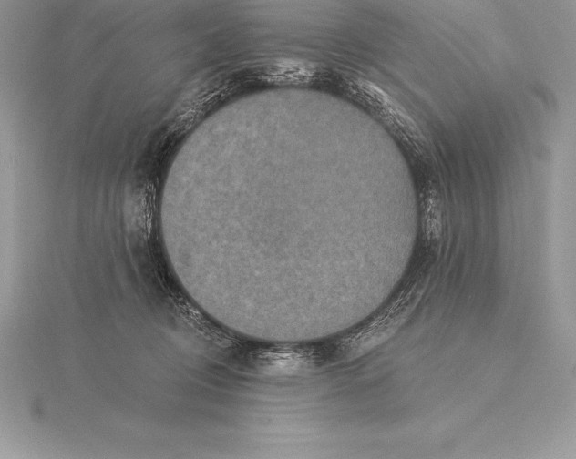 X0000115550370200911201806