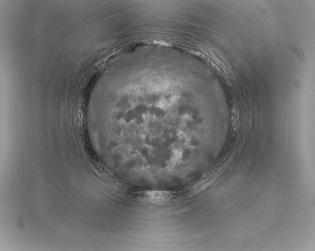 X0000115550371200911201806