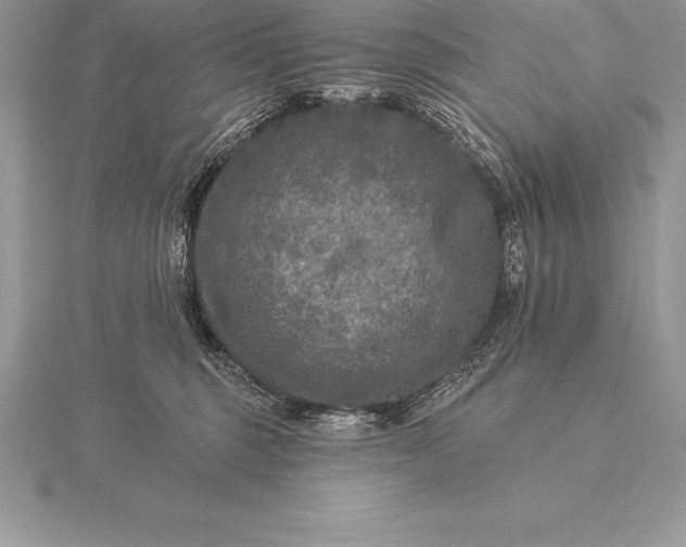 X0000115550375200911201806