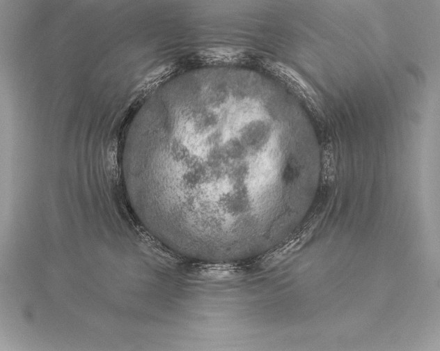 X0000115550377200911201806