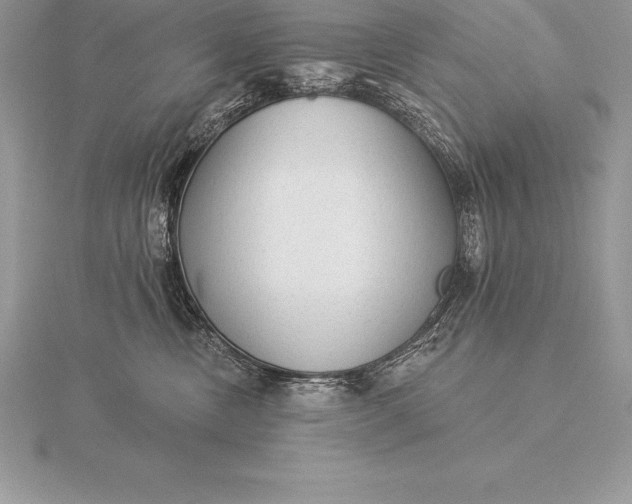 X0000115550378200911201806