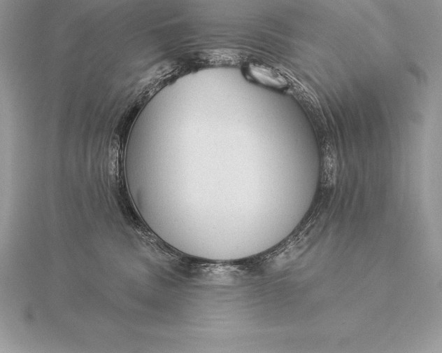 X0000115550379200911201806