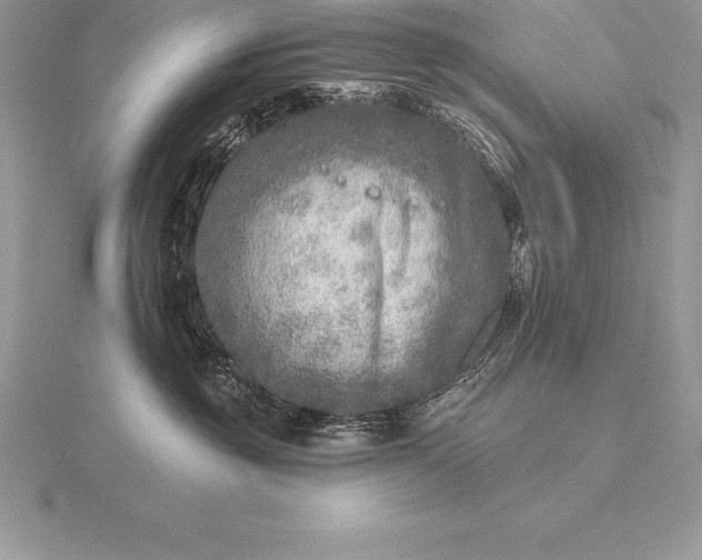 X0000115550381200911201806