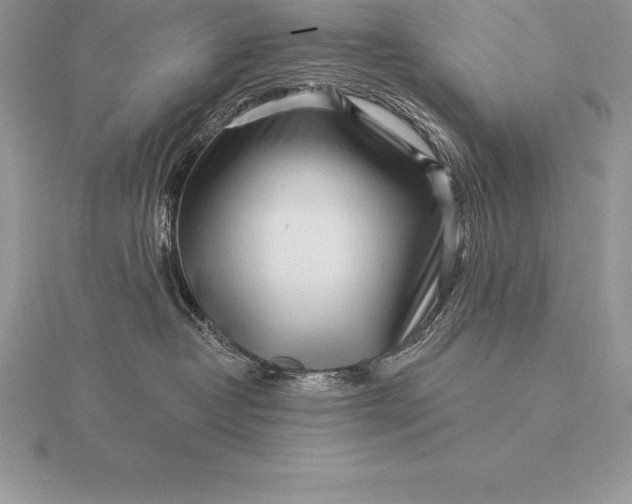 X0000115550382200911201806