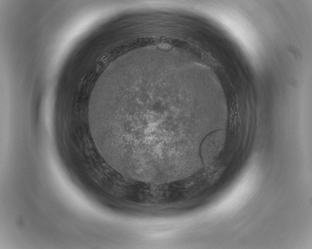 X0000115550383200911201806