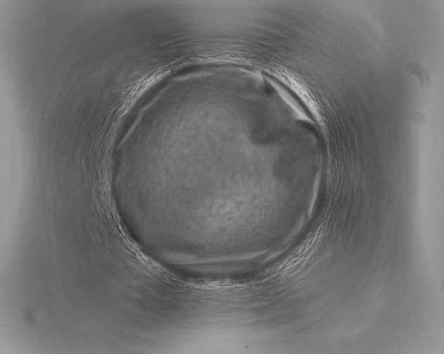 X0000115550385200911201805